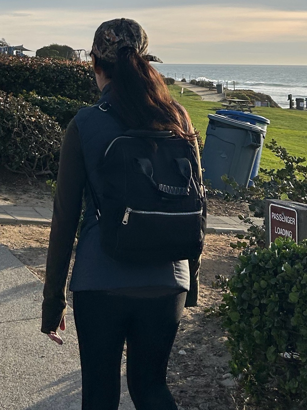 Classic Black Everyday Backpack - Unbranded